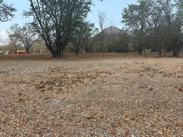 place photo 18