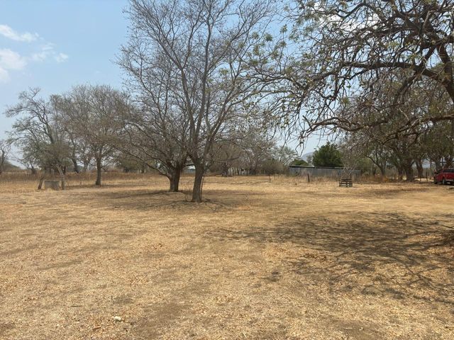 place photo 16