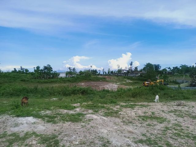 place photo 20