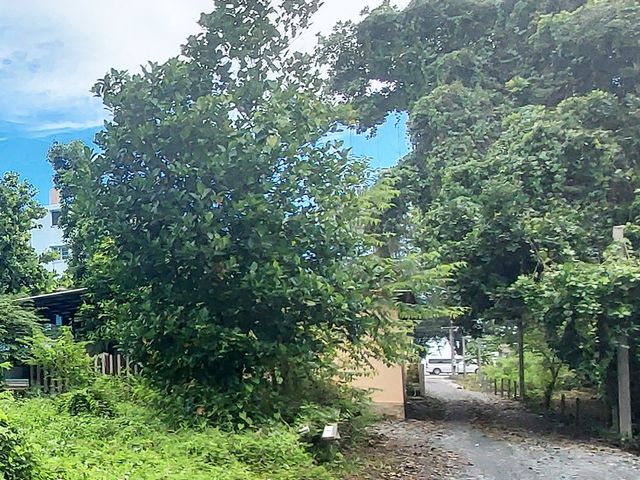 place photo 59