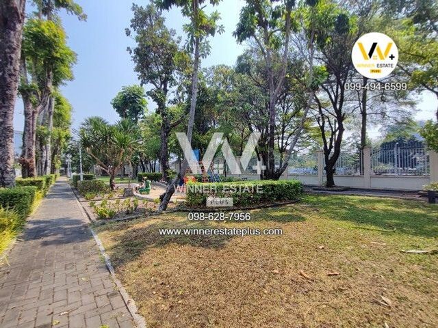 place photo 42