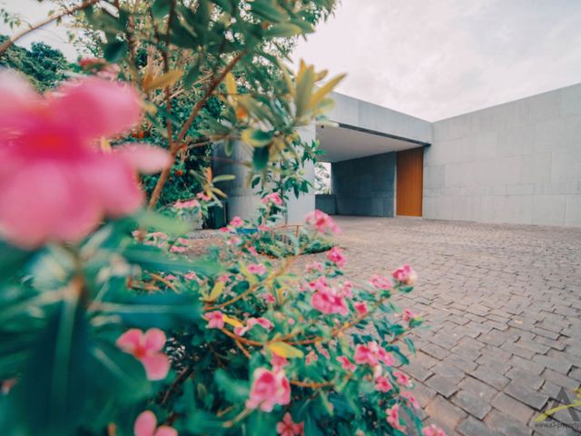 place photo 62
