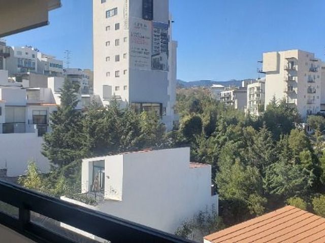 place photo 50