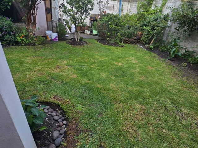 place photo 31