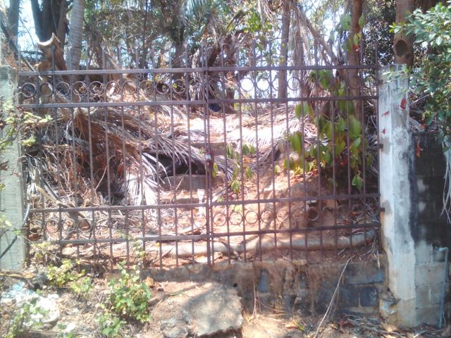place photo 12