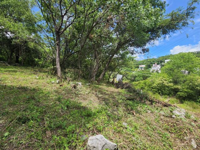place photo 46