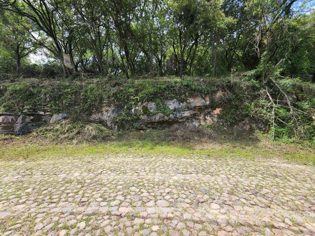 place photo 48