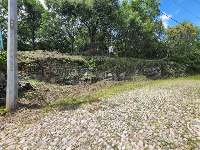 place photo 49