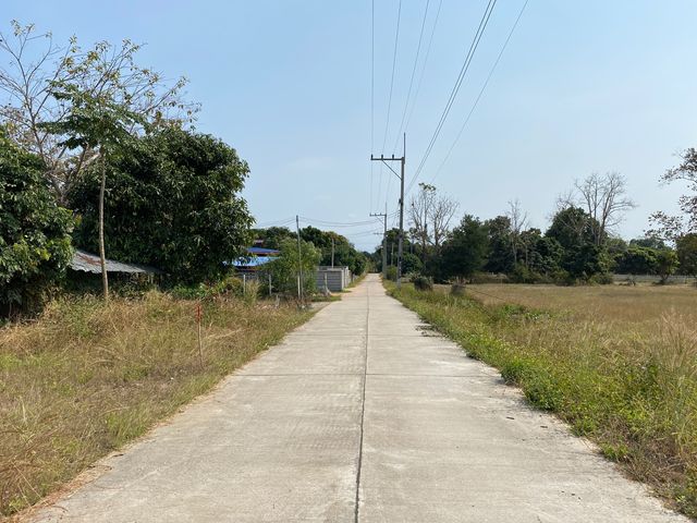 place photo 50