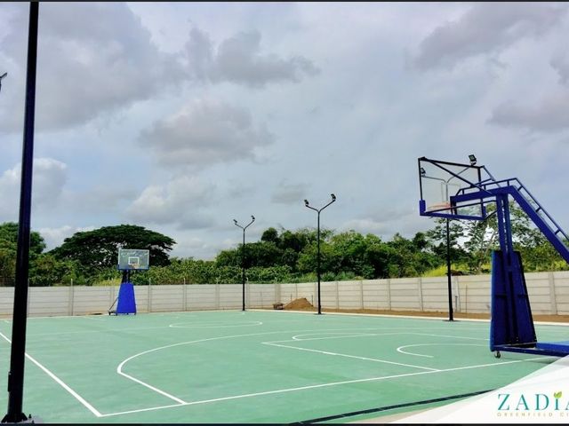 place photo 12