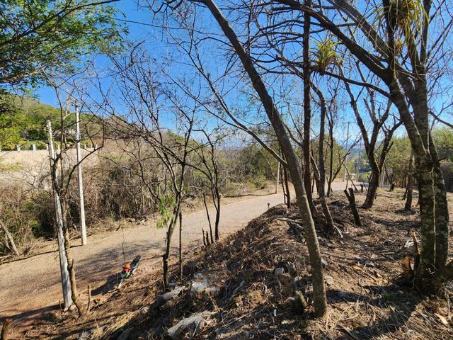 place photo 31