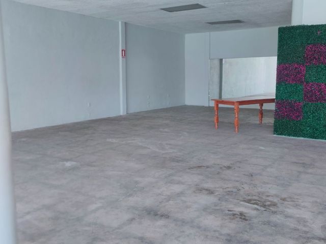 place photo 24
