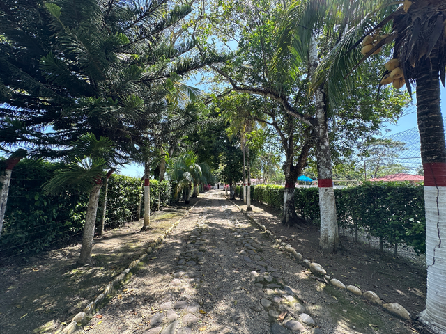place photo 34