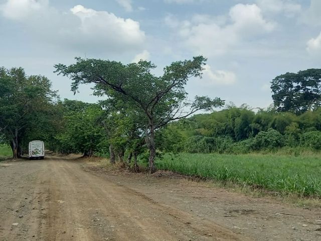 place photo 25