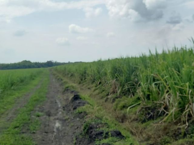 place photo 35