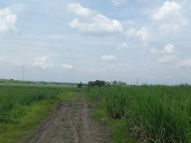 place photo 21