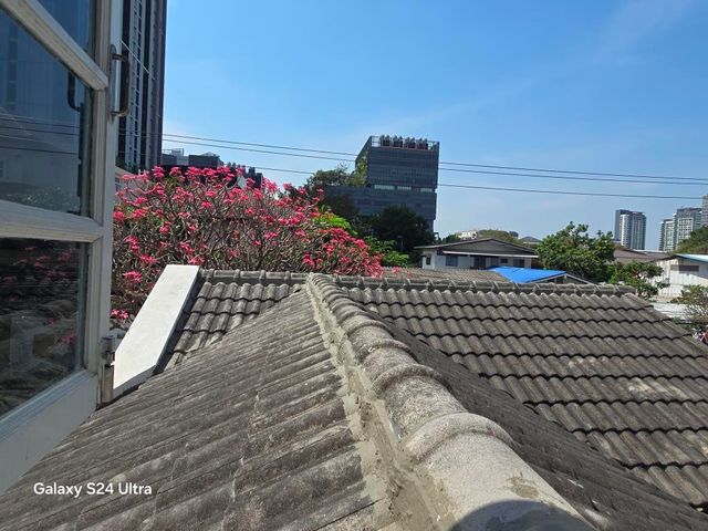 place photo 53