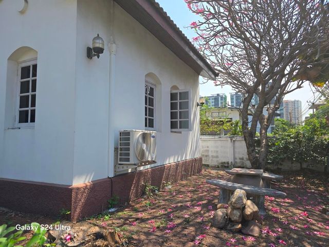 place photo 81