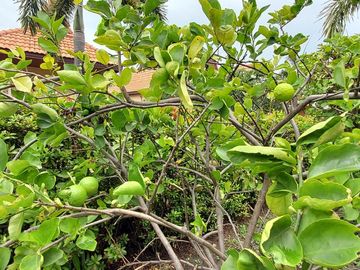 place photo 37