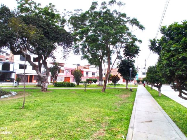place photo 43