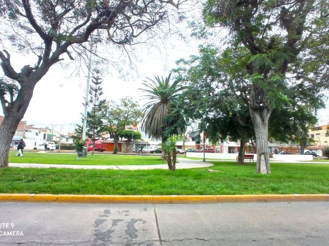 place photo 46