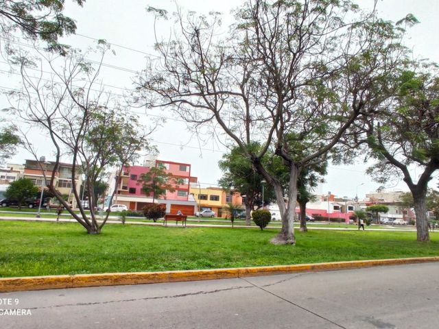 place photo 45