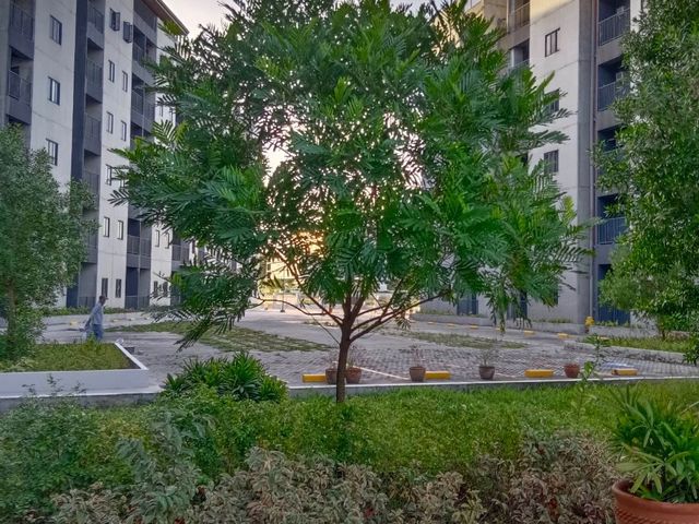 place photo 36