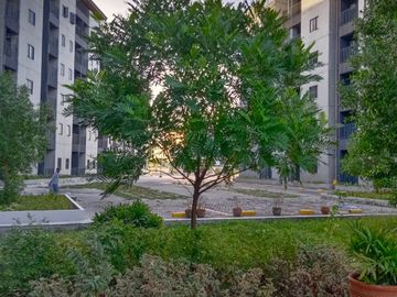 place photo 36