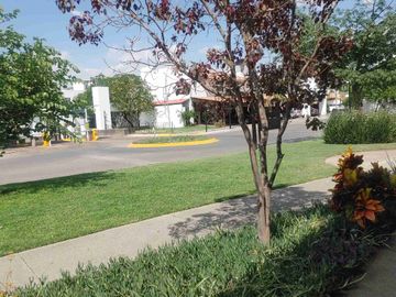 place photo 33