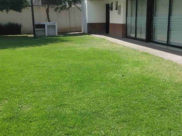 place photo 38