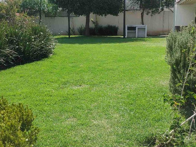 place photo 39