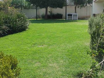 place photo 39