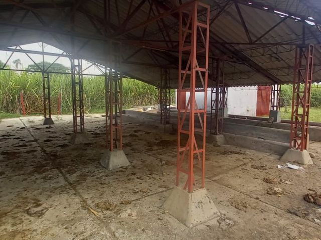place photo 29