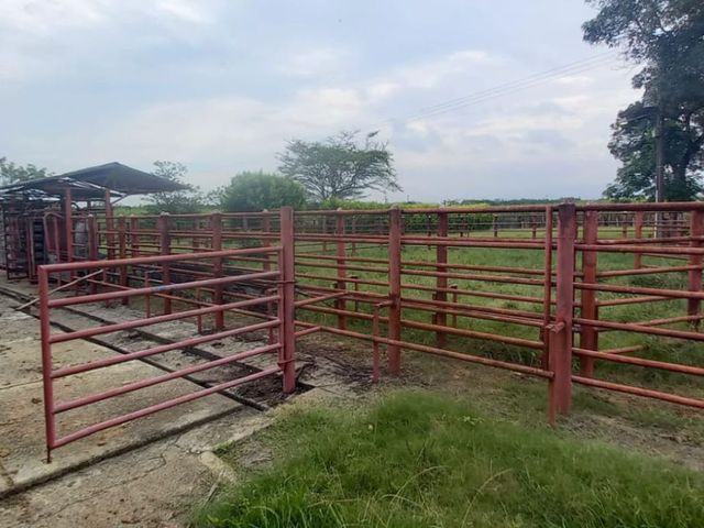 place photo 25
