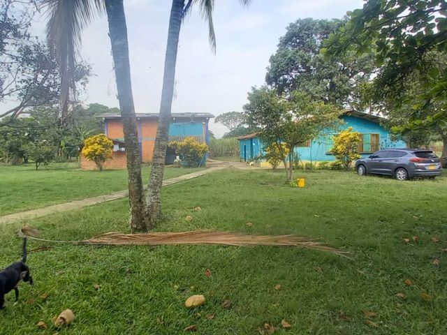 place photo 42