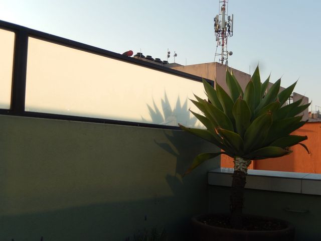 place photo 20