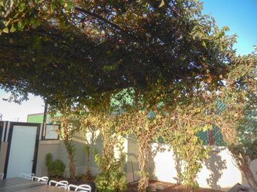 place photo 35