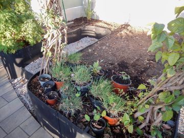 place photo 39