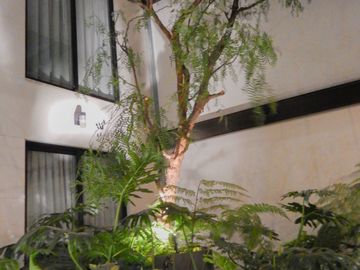 place photo 23