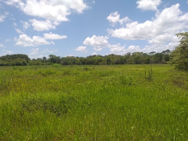 place photo 21
