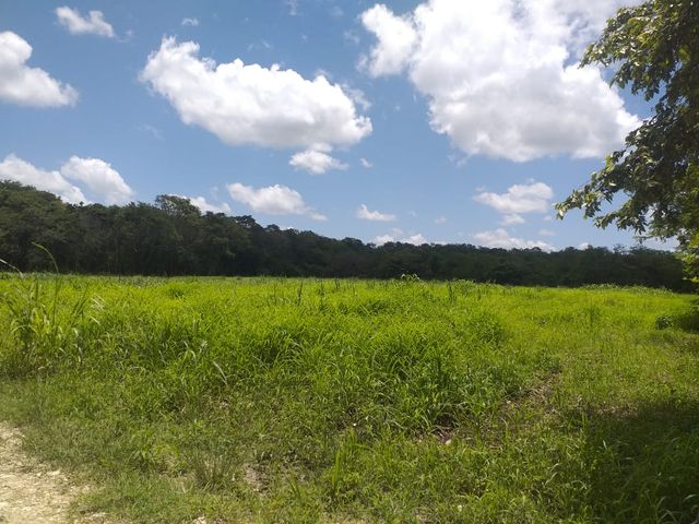place photo 24