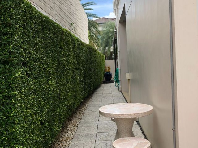 place photo 74