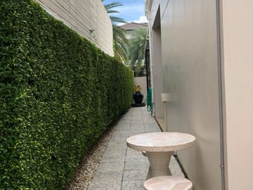 place photo 74