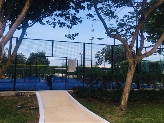 place photo 26
