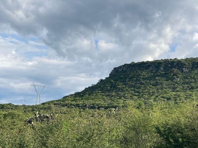 place photo 17