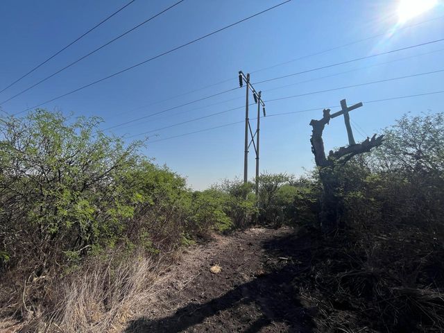 place photo 37