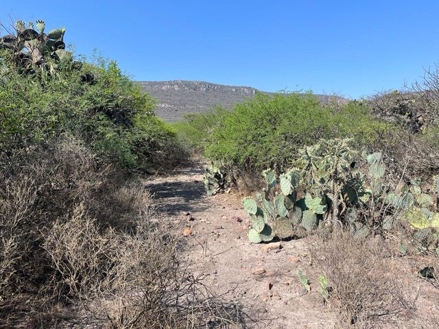 place photo 31