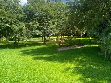 place photo 33