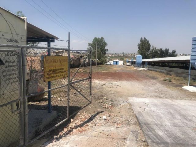 place photo 9