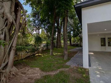 place photo 54